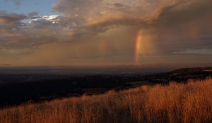 Preview wallpaper grass, valley, rainbow, nature