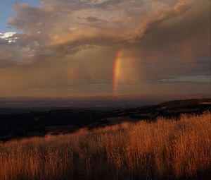 Preview wallpaper grass, valley, rainbow, nature