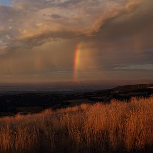 Preview wallpaper grass, valley, rainbow, nature