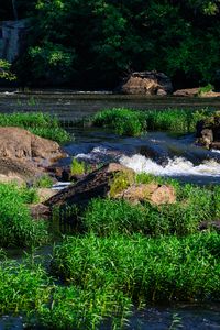 Preview wallpaper grass, waterfall, rocks, river, nature