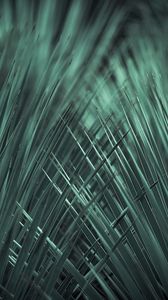Preview wallpaper grass, weave, macro