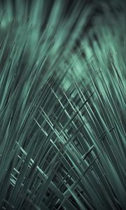 Preview wallpaper grass, weave, macro