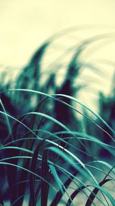 Preview wallpaper grass, wind, dark, light, swaying