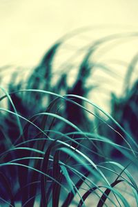 Preview wallpaper grass, wind, dark, light, swaying