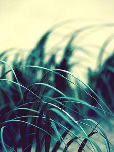 Preview wallpaper grass, wind, dark, light, swaying