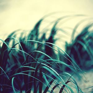 Preview wallpaper grass, wind, dark, light, swaying