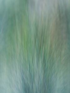 Preview wallpaper grass, wind, distortion, abstraction