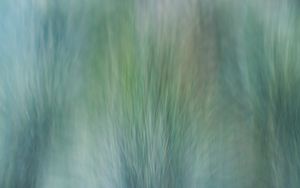 Preview wallpaper grass, wind, distortion, abstraction