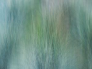 Preview wallpaper grass, wind, distortion, abstraction