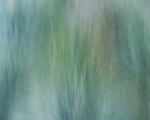 Preview wallpaper grass, wind, distortion, abstraction