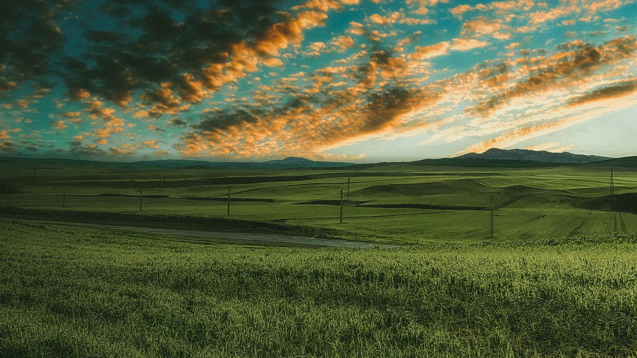 Wallpaper grasses, field, horizon, green, sky