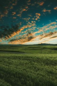 Preview wallpaper grasses, field, horizon, green, sky