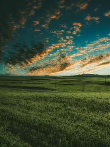 Preview wallpaper grasses, field, horizon, green, sky