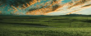 Preview wallpaper grasses, field, horizon, green, sky