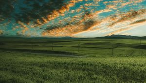 Preview wallpaper grasses, field, horizon, green, sky