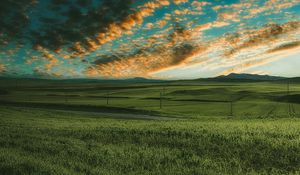 Preview wallpaper grasses, field, horizon, green, sky