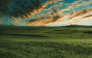 Preview wallpaper grasses, field, horizon, green, sky