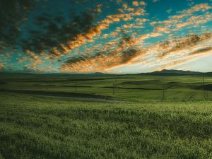 Preview wallpaper grasses, field, horizon, green, sky