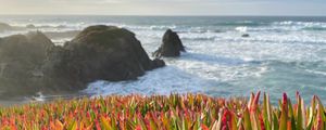 Preview wallpaper grasses, plant, rocks, sea, horizon