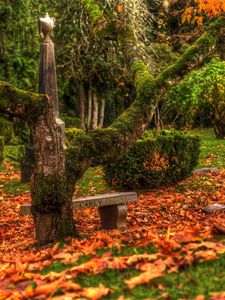 Preview wallpaper grave, tree, monument, plate, memorial, moss