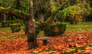 Preview wallpaper grave, tree, monument, plate, memorial, moss