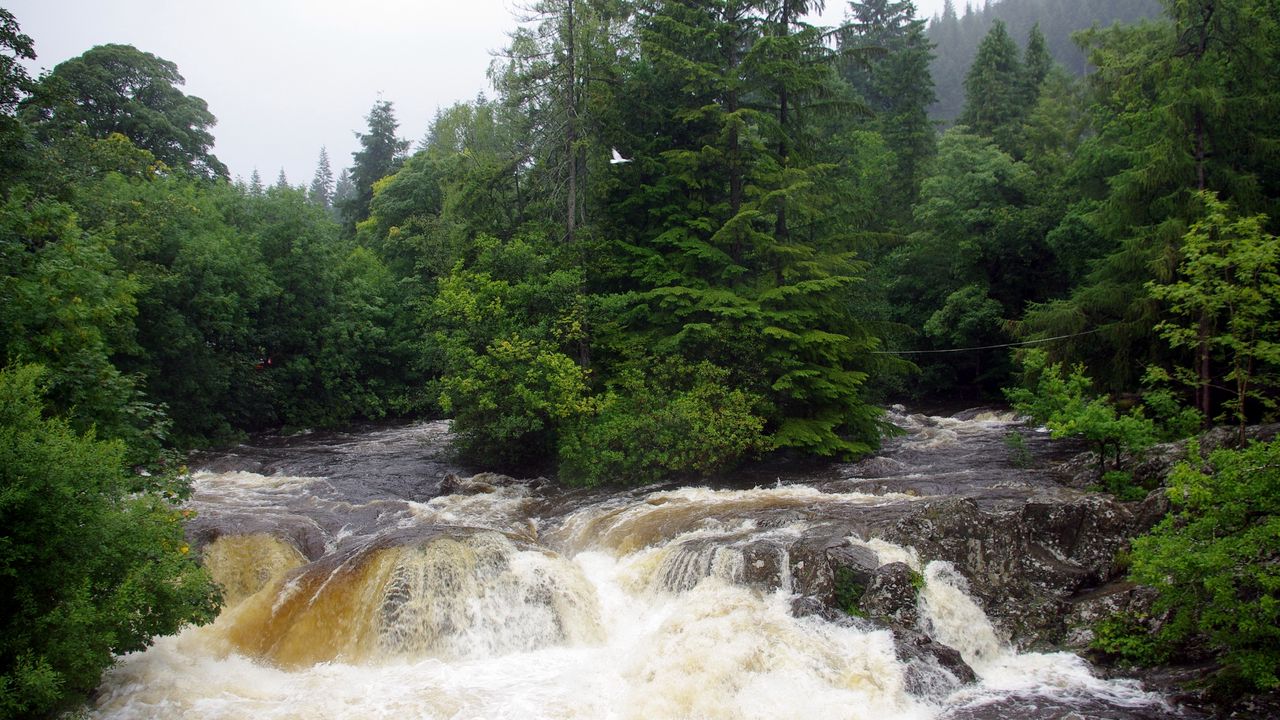 Wallpaper great britain, konui, river, stream, dirty, water, trees, cloudy