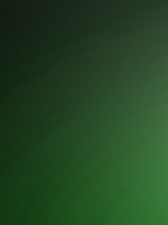 Một tấm hình nền rực rỡ màu xanh lá cây với độ phân giải 240x320 sẽ cho bạn trải nghiệm tuyệt vời khi sử dụng điện thoại của mình. Hãy cùng chiêm ngưỡng tấm hình này để cảm nhận sự tươi mới và sức sống đầy năng lượng của màu xanh. Translation: A vibrant green wallpaper with 240x320 resolution will provide you a great experience when using your phone. Let\'s admire this wallpaper to feel the freshness and energy of green.