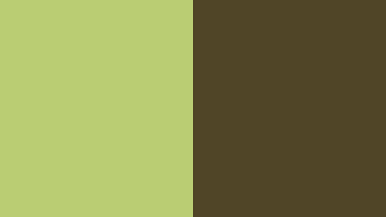 Wallpaper green, brown, line, color, background, minimalism
