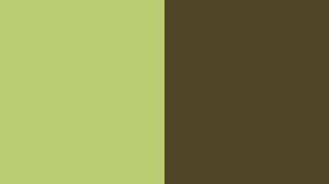Preview wallpaper green, brown, line, color, background, minimalism