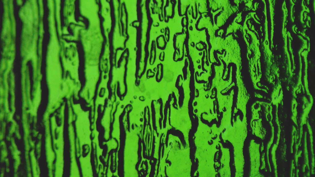 Wallpaper green, embossed, texture, surface