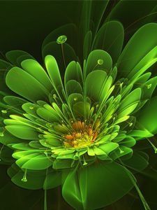 Preview wallpaper green, flower, background, colorful, light