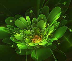 Preview wallpaper green, flower, background, colorful, light