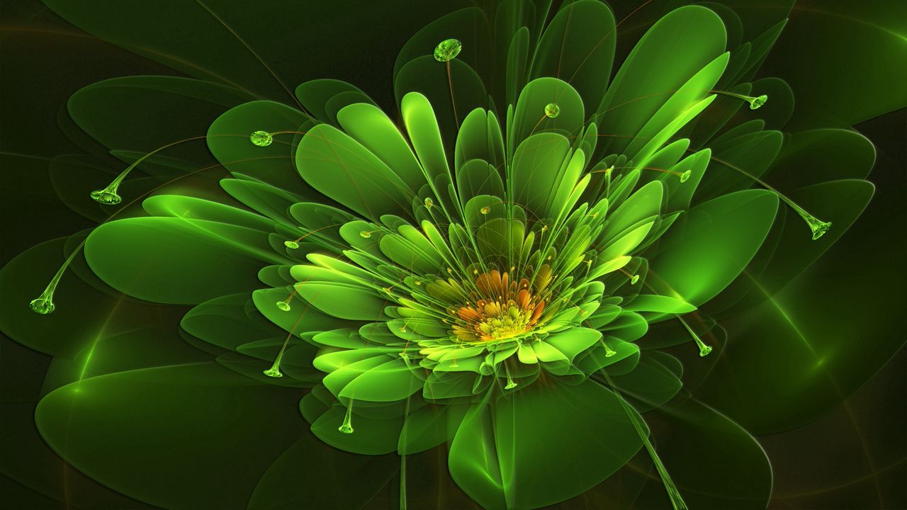 Wallpaper green, flower, background, colorful, light hd, picture, image