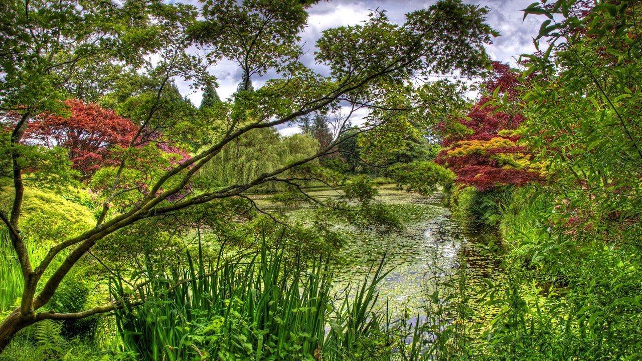 Wallpaper green, garden, trees, pond, water-lilies, flora