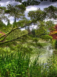 Preview wallpaper green, garden, trees, pond, water-lilies, flora