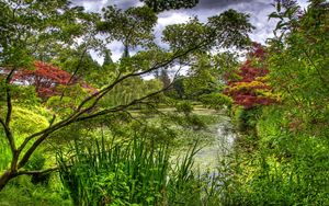 Preview wallpaper green, garden, trees, pond, water-lilies, flora