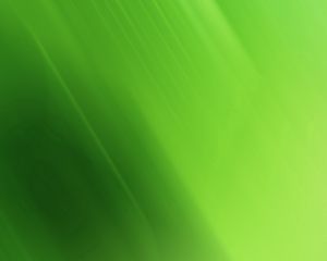 Green standard 5:4 wallpapers hd, desktop backgrounds 1280x1024 downloads,  images and pictures