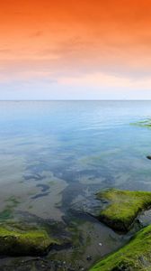 Preview wallpaper green, orange, moss, lake, evening