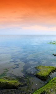 Preview wallpaper green, orange, moss, lake, evening