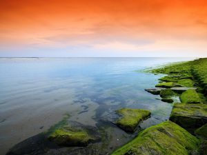 Preview wallpaper green, orange, moss, lake, evening