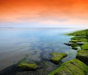 Preview wallpaper green, orange, moss, lake, evening