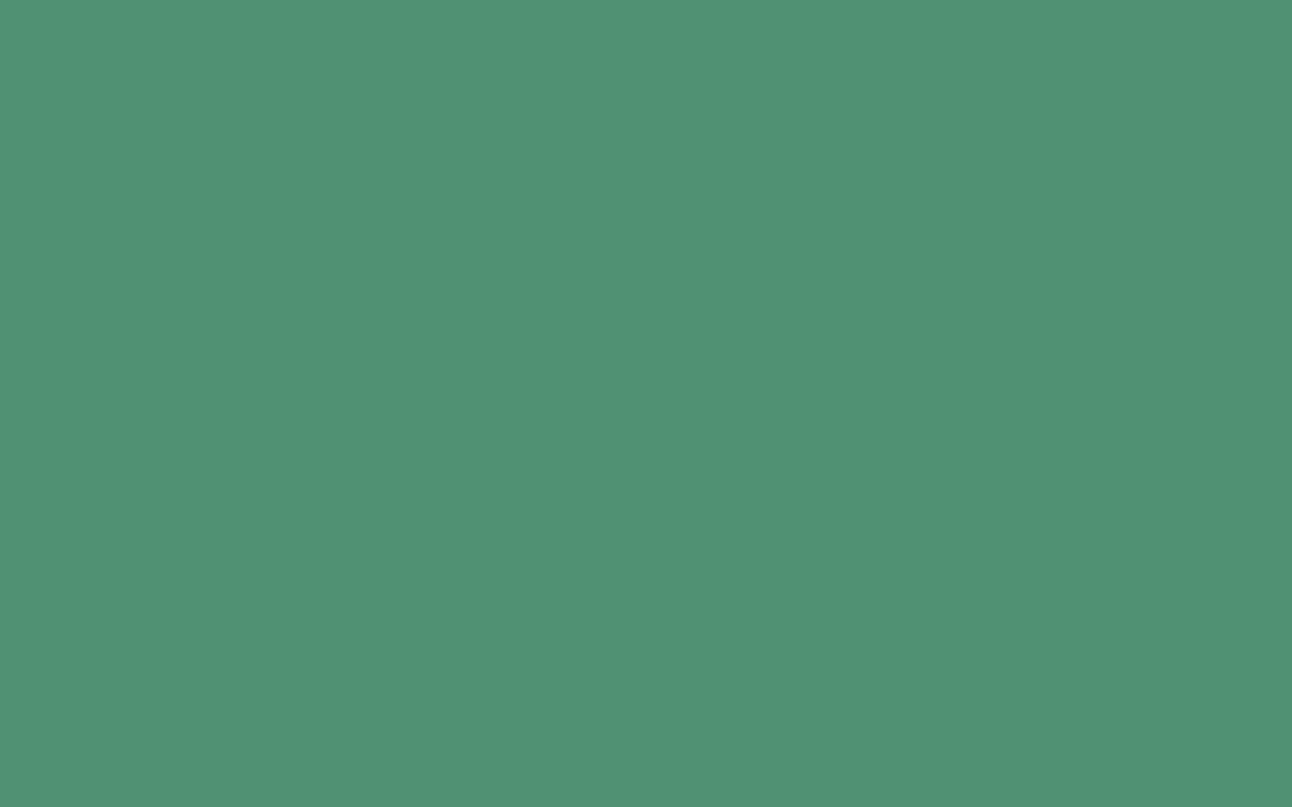 2560x1600 Wallpaper green, solid, background