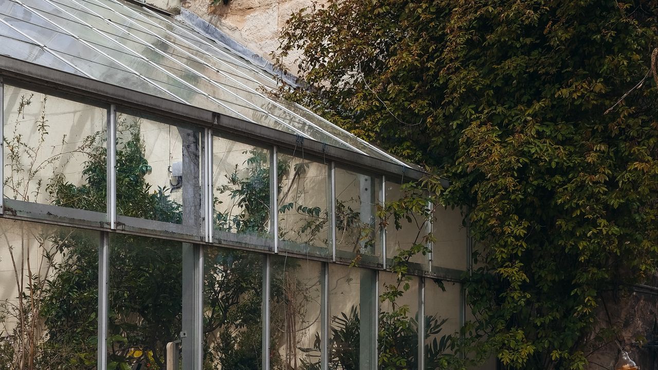 Wallpaper greenhouse, building, architecture, plants, leaves