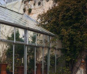 Preview wallpaper greenhouse, building, architecture, plants, leaves