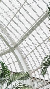 Preview wallpaper greenhouse, building, construction, plant, palm