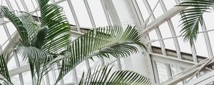 Preview wallpaper greenhouse, building, construction, plant, palm