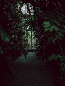 Preview wallpaper greenhouse, door, plants, green, dark