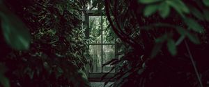 Preview wallpaper greenhouse, door, plants, green, dark