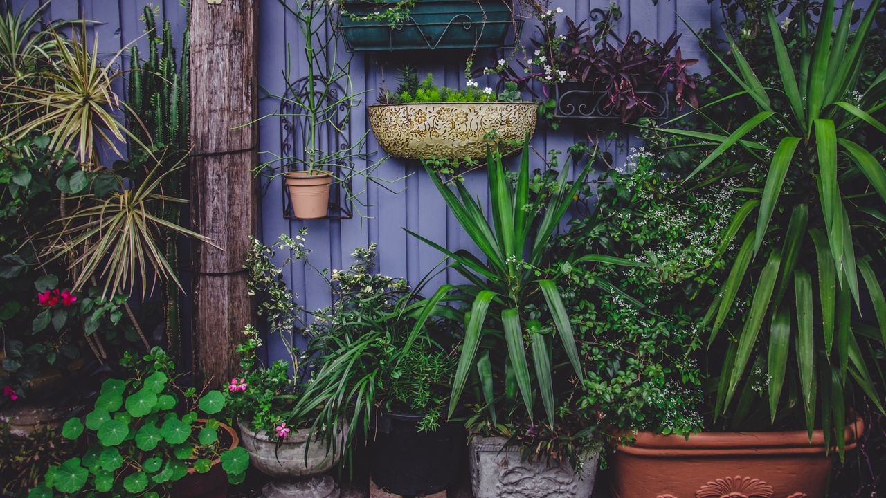 Wallpaper greenhouse, flowers, garden, pots