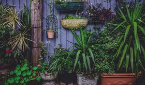 Preview wallpaper greenhouse, flowers, garden, pots